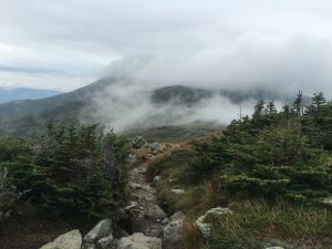 IMG_1222